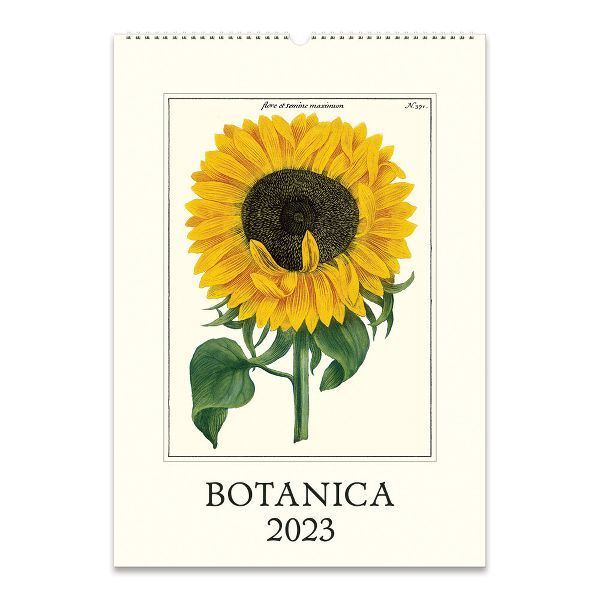 2023 Cavallini Co Botanica Wall Calendar Paper Source In 2022 