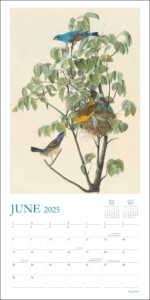 Audubon 39 s Watercolors 2025 Wall Calendar Book Summary Video