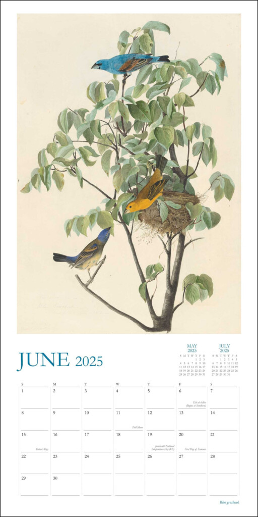 Audubon 39 s Watercolors 2025 Wall Calendar Book Summary Video 