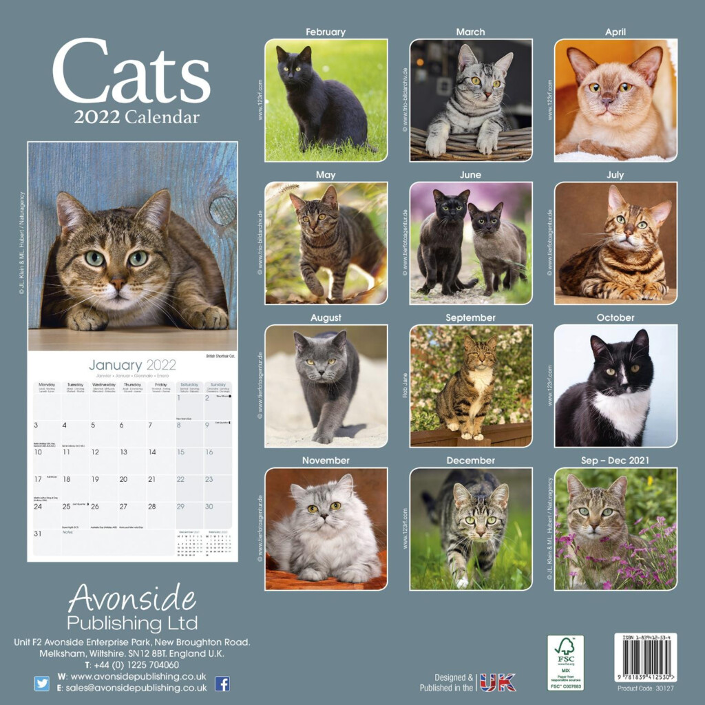 Cats Calendar Cat Calendars Pet Prints Inc