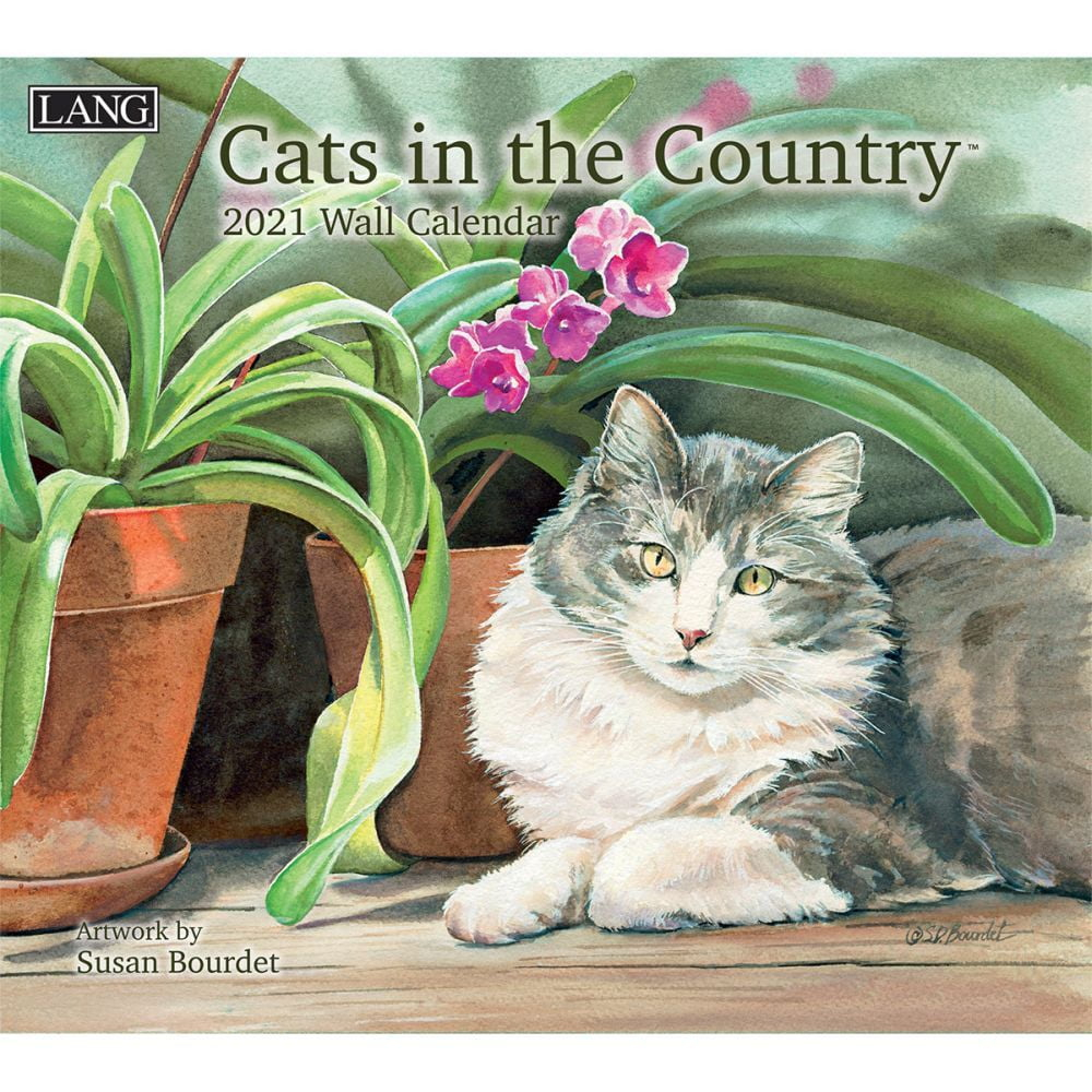 Cats In The Country Wall Calendar By Susan Bourdet Walmart