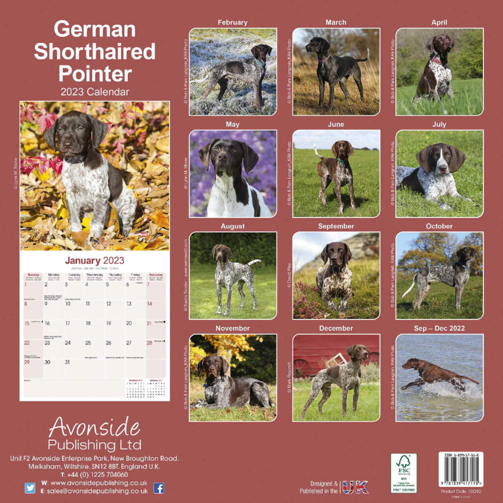 German Shorthair Pointer Calendar Dog Breed Pet Prints Inc