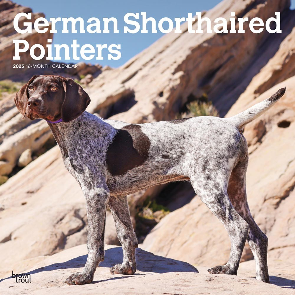 German Shorthaired Pointers 2025 12 X 24 Inch Monthly Square Wall 