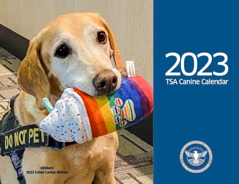 Meet TSA s Dogs In The 2023 Explosive Detection Canines Calendar 