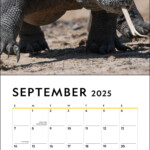 National Geographic Apex Predators 2025 Wall Calendar Book Summary