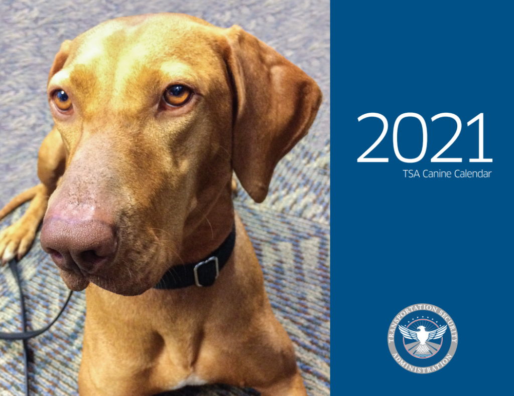TSA Releases Feel Good Dog Calendar