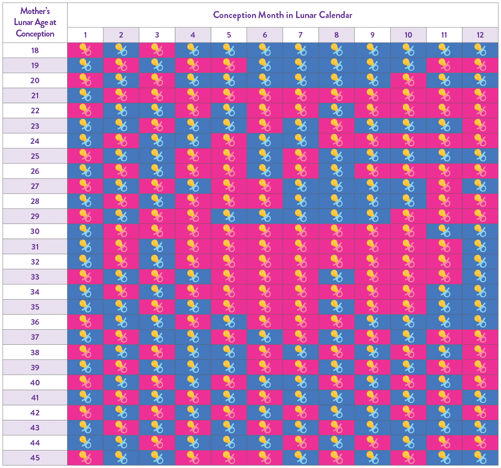 Chinese Gender Calendar Predictor Tool Chart SneakPeek 