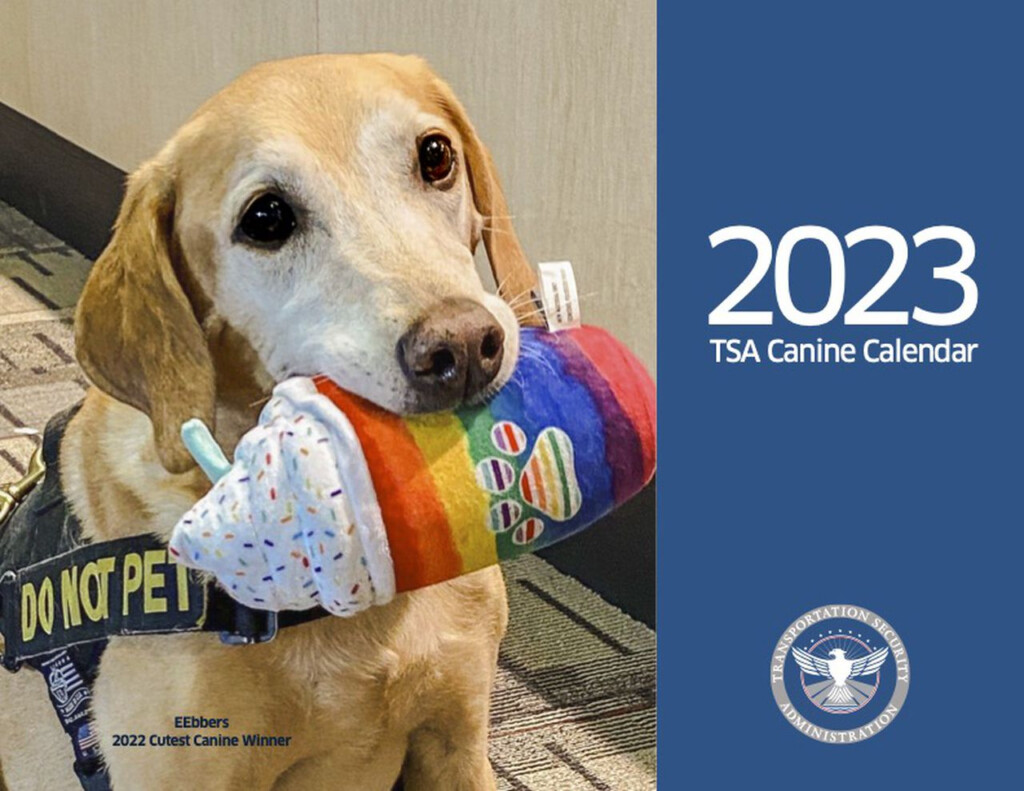 Meet TSA s Dogs In The 2023 Explosive Detection Canines Calendar 