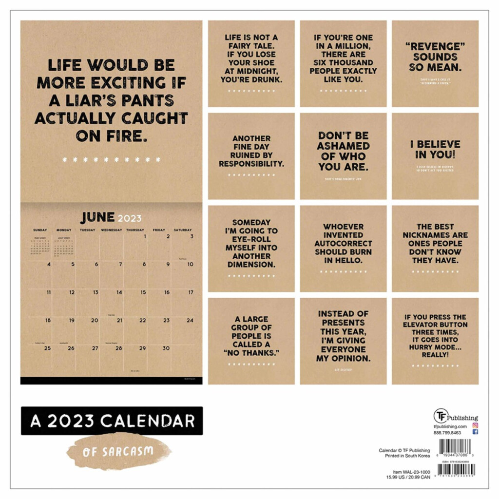 Sarcastic Daily Calendar 2023 DailyCalendars