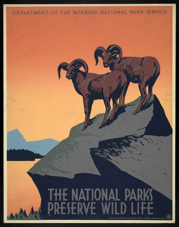 These Vintage Posters Remind Us The National Parks Service Was Always 