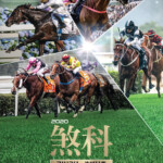 HKJC RACING SPORT Jetso Today